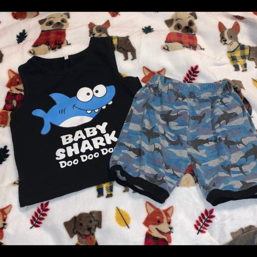 Baby shark 24 months